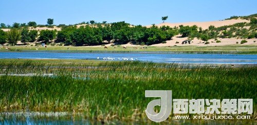 阿魯科爾沁保護區(qū)濕地沙丘。吳勇攝