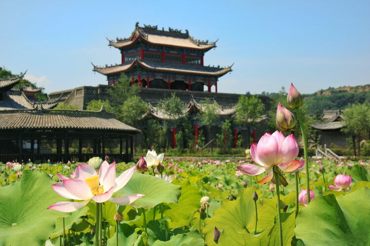 【云游渭南】心中若有桃花源，此處便是水云間！待疫情散盡，一起來渭南桃花源賞美景、觀民俗、享美食_fororder_2