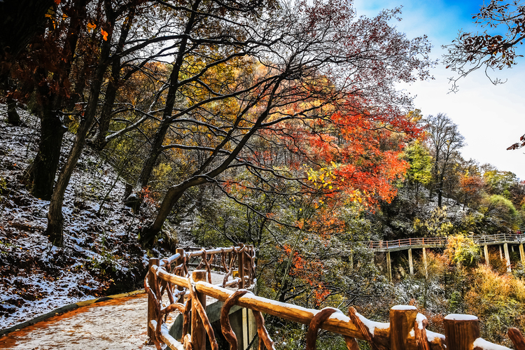 【云游渭南】待到春暖花開(kāi)之時(shí)，我們相約草長(zhǎng)鶯飛的少華山！_fororder_冬雪初吻