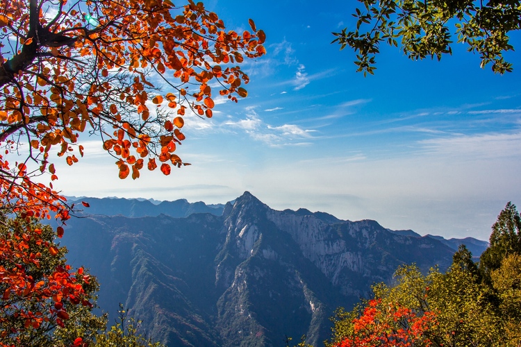 【云游渭南】待到春暖花開(kāi)之時(shí)，我們相約草長(zhǎng)鶯飛的少華山！_fororder_少華峰